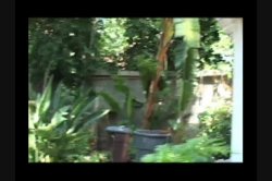 'Black Diamondz' screenshot nº 76