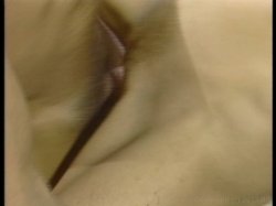 'Illicit Affairs' screenshot nº 32