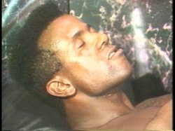 Captura de 'Blackman' nº 32