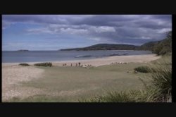'Outback Assignment' screenshot nº 34