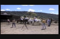 'Outback Assignment' screenshot nº 135