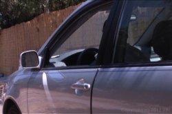 'Find 'Em Trunk 'Em 'N Fuck 'Em' screenshot nº 115