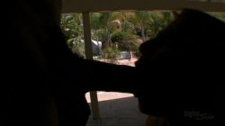 Captura de 'I Can't Believe I Took The Whole Thing #18' nº 120