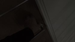 Captura de 'Slutty Girls Love Rocco 9' nº 100