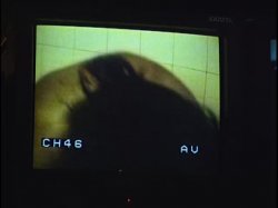 Captura de 'The Tower 2 & 3 (German)' nº 46