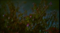 'Weekend Getaway' screenshot nº 47