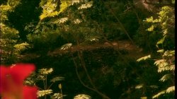 'Weekend Getaway' screenshot nº 94