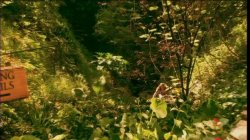 'Weekend Getaway' screenshot nº 15