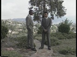'Jungle Jive' screenshot nº 34