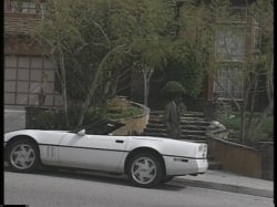 'Jungle Jive' screenshot nº 125