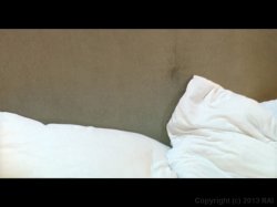 Captura de 'Best Of 15 Sex Crazed Lesbians' nº 64