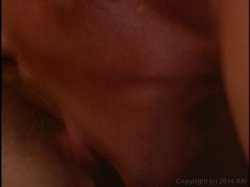 'Window' screenshot nº 119