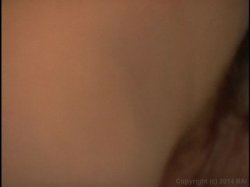 'Window' screenshot nº 140