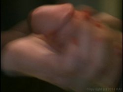 'Window' screenshot nº 42