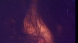 'Seka & Ken Yontz (also Tina Louise, others) Suck Fuck Facial' screenshot nº 48