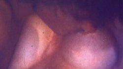 'Seka & Ken Yontz (also Tina Louise, others) Suck Fuck Facial' screenshot nº 70