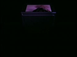 Captura de 'Michael Ninn's Sex' nº 65