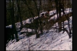 'Debbie Does Dallas 2' screenshot nº 5
