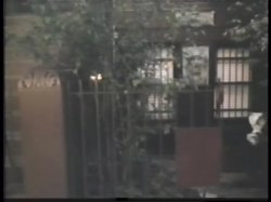 'Sexually Altered States' screenshot nº 67