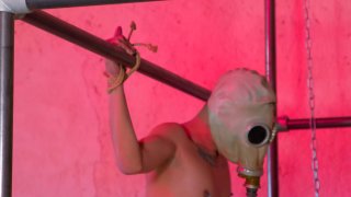 Alfonso & Others in A Willing Twink for My Dirtiest Fantasy