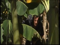 'Private Tropical #13 - A Hidden Pleasure' screenshot nº 63