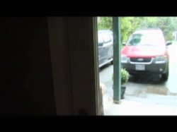 'Chicks Taking Charge 2' screenshot nº 73