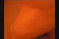 Captura de 'Beaver Hunt 2' nº 38