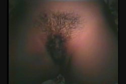 Captura de 'Beaver Hunt 2' nº 9