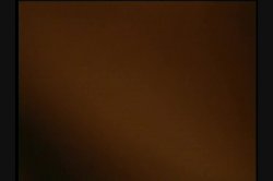 Captura de 'Beaver Hunt 2' nº 137