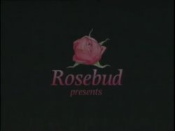 'Anal Addict' screenshot nº 2