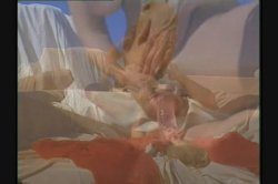 Captura de 'Under Contract: Christy Canyon' nº 137