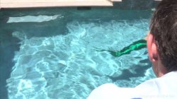 'Fluid Vol. 2' screenshot nº 3