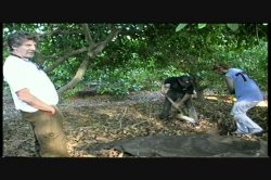 'Hollywood Orgies: Mimi Miyagi' screenshot nº 139
