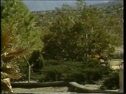 Captura de 'Rachel Ashley Triple Feature' nº 45
