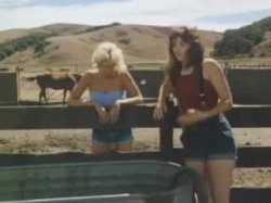 Captura de 'Showdown (Caballero)' nº 3