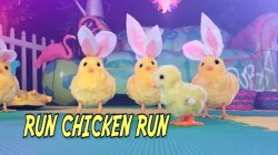 Captura de 'Cuck A Doodle Doo' nº 1