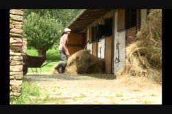 'French Farm Girls' screenshot nº 38