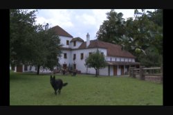 'French Farm Girls' screenshot nº 68