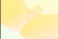 Captura de 'Ass Lovers 1' nº 134
