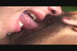 'Real Bushy Beavers 3' screenshot nº 15
