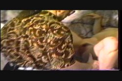 Captura de 'Dirty Debutantes 23' nº 132