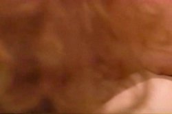 'Vixens' screenshot nº 99