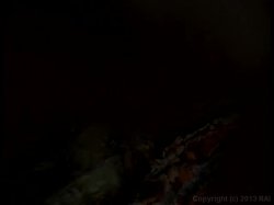 Captura de 'Black Dicks Latin Chicks 9' nº 84