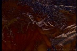 'Taboo 11' screenshot nº 6