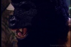 'Taboo 11' screenshot nº 32