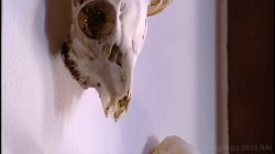 'Trust No One' screenshot nº 120