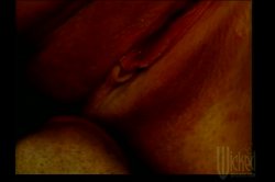 'Hot N' Horny Honeys' screenshot nº 139