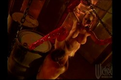 'Hot N' Horny Honeys' screenshot nº 2