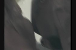 'Big Cocks Tiny Holes' screenshot nº 61