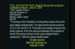 'Big Cocks Tiny Holes' screenshot nº 1